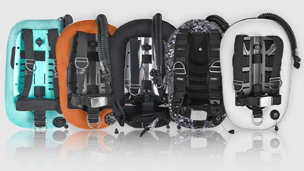 BCD COLLECTION